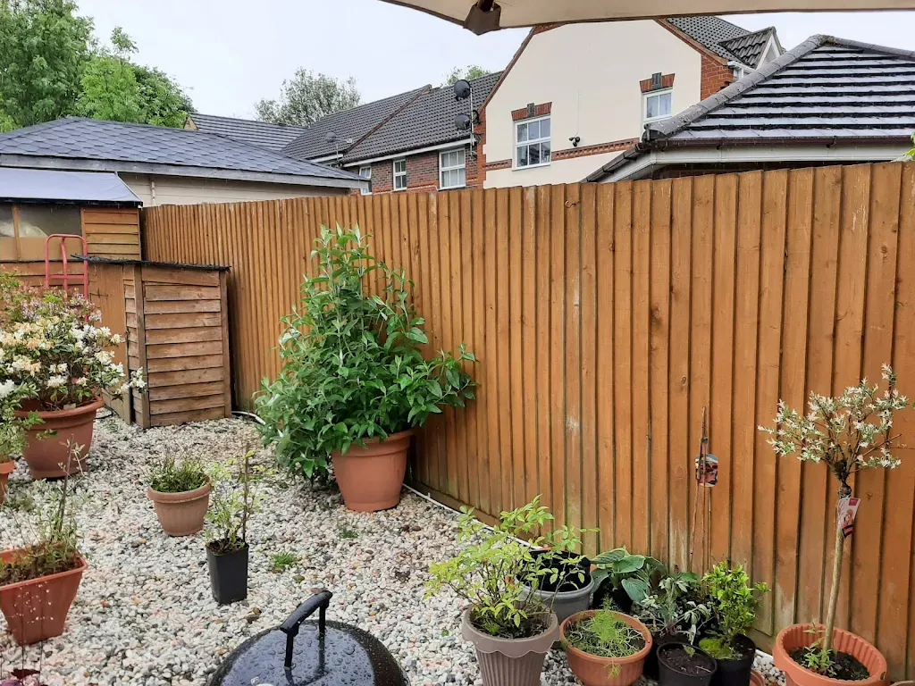 Vertical board fence with container garden in Luton - Garden fencing and landscaping